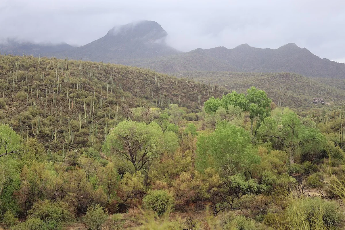 Sonoran Desert scenery at Spur Cross near Cave Creek, Arizona